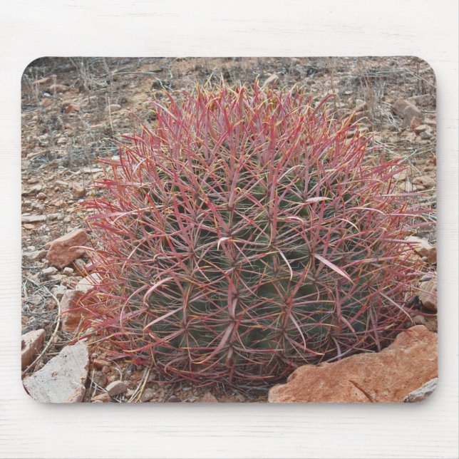Southwest Red Barrel Cactus Photo Arizona Desert Mouse Pad (Front)
