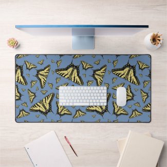 Southwest Yellow Swallowtail Butterfly Blue