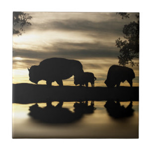 Southwestern Art Tile