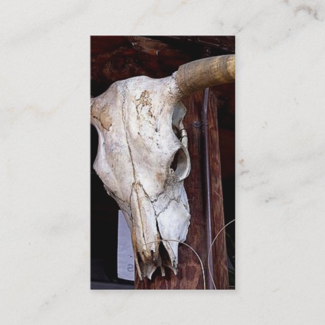 Southwestern Business/Profile Card (Front)