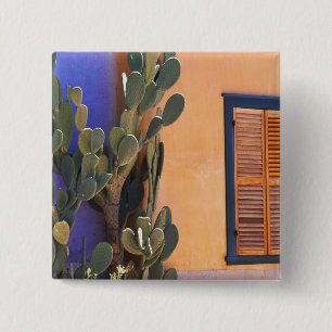 Southwestern Cactus (Opuntia dejecta) and Button