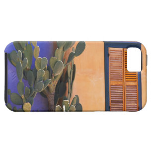Southwestern Cactus (Opuntia dejecta) and iPhone SE/5/5s Case