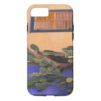 Southwestern Cactus (Opuntia dejecta) and