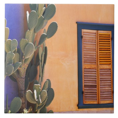 Southwestern Cactus Opuntia dejecta and Ceramic Tile