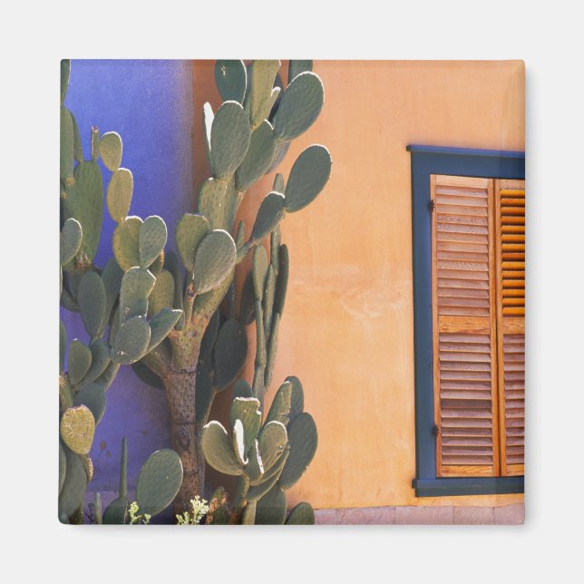 Southwestern Cactus (Opuntia dejecta) and Magnet (Front)
