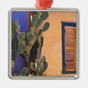 Southwestern Cactus (Opuntia dejecta) and Metal Ornament