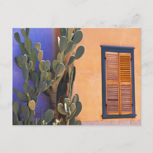 Southwestern Cactus Opuntia dejecta and Postcard