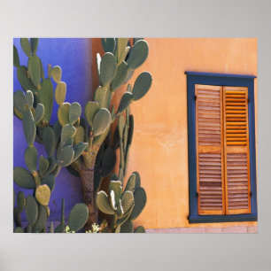 Southwestern Cactus (Opuntia dejecta) and Poster