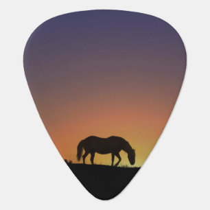 Southwestern Country Horse Guitar Pic Pick
