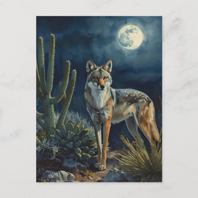 Southwestern Coyote and Moon Desert Postcard (Front)