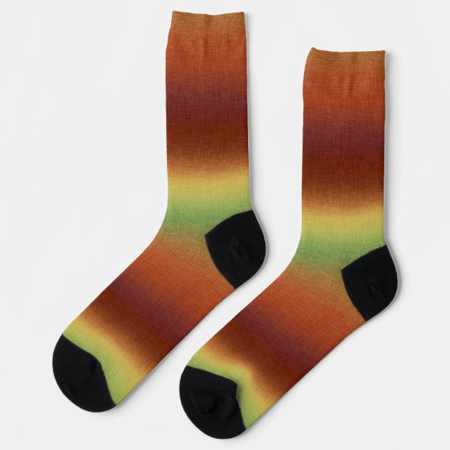 Southwestern Evening Gradient Colors Socks (Left)