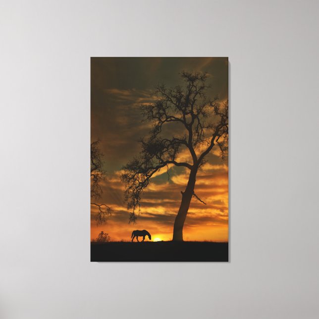 Southwestern Fine Art Horse Photography Canvas (Front)