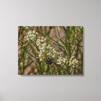 Southwestern Forager Canvas Print