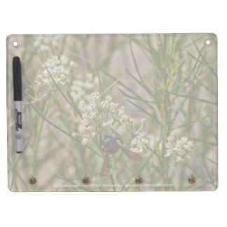 Southwestern Forager Dry Erase Board With Keychain Holder