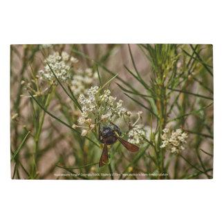 Southwestern Forager Metal Print