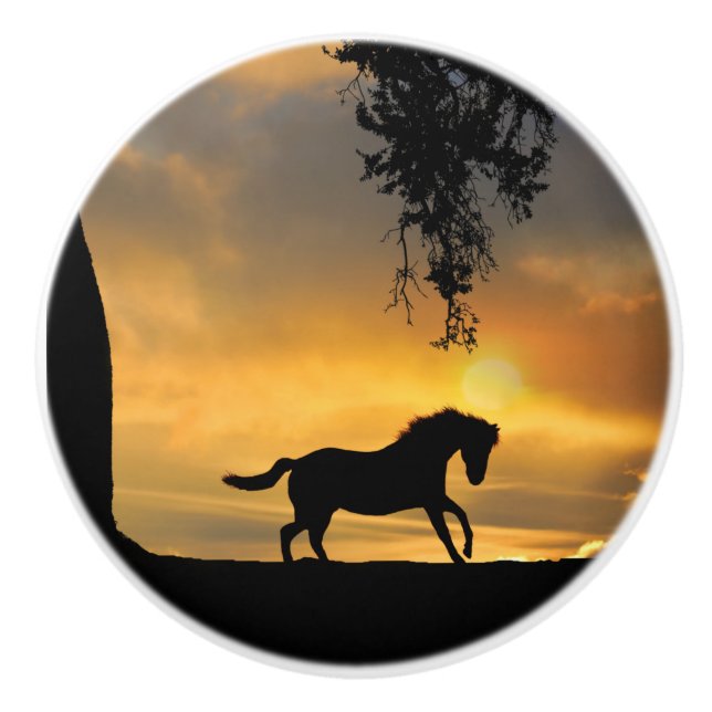 Southwestern Galloping Horse Country Ceramic Knob (Front)