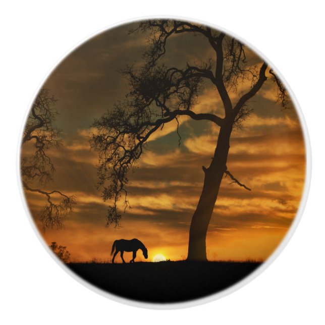 Southwestern Horse Knobs and Pulls (Front)