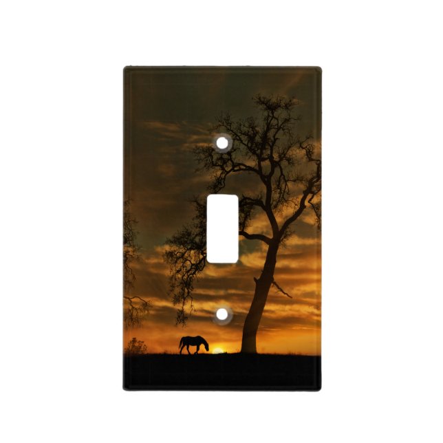 Southwestern Horse Light Switch Cover (Front)