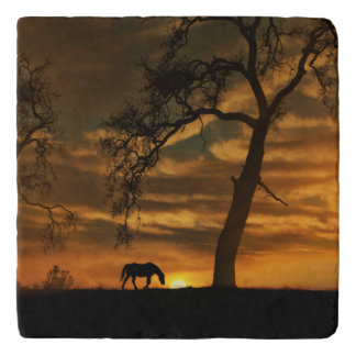 Southwestern Horse Trivet