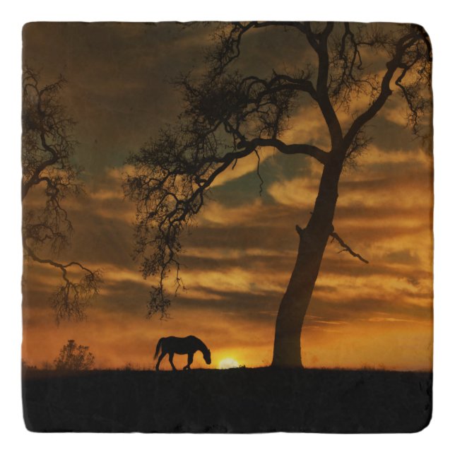 Southwestern Horse Trivet (Front)