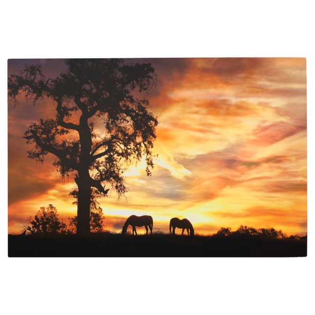 Southwestern Horses in Sunset Metal Print (Front)
