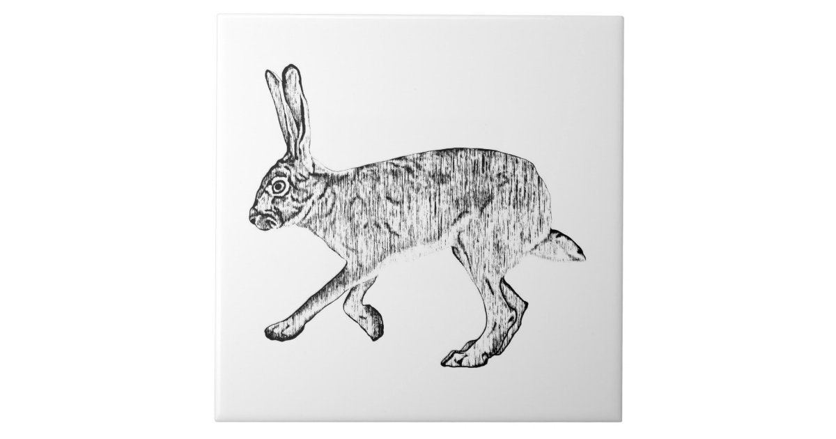 Southwestern Jackrabbit Pen and Ink Art Ceramic Tile | Zazzle