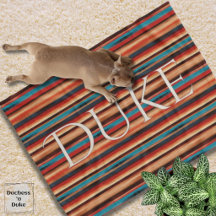 Southwestern Serape Stripe Pet Name