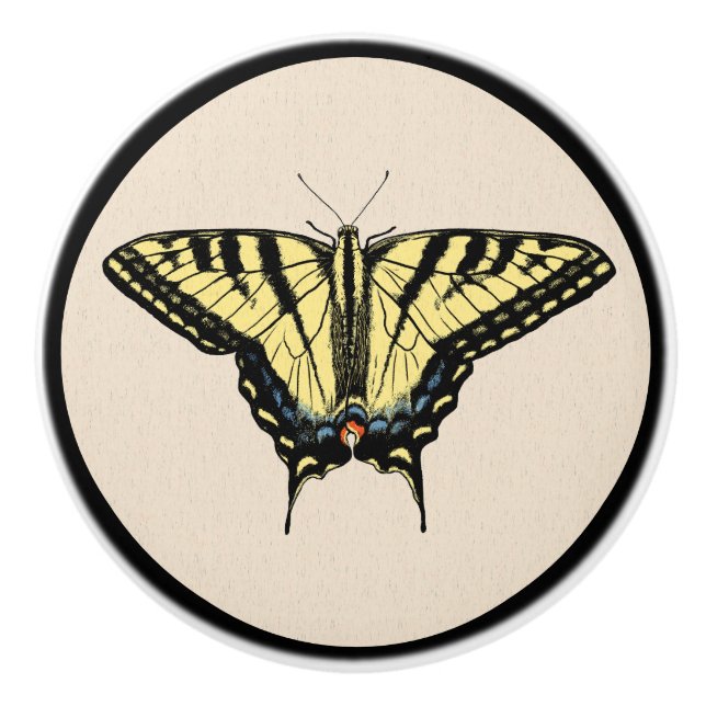 Southwestern Yellow Swallowtail Butterfly Ceramic Knob (Front)