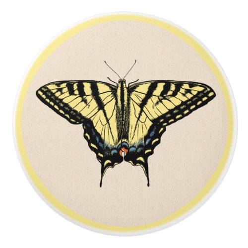 Southwestern Yellow Swallowtail Butterfly  Ceramic Knob