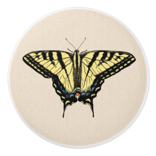 Southwestern Yellow Swallowtail Butterfly   Ceramic Knob