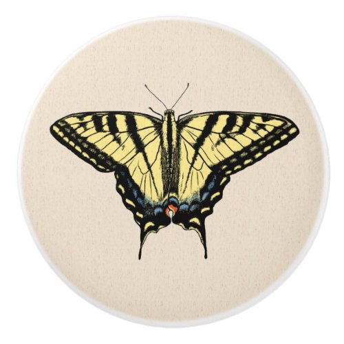 Southwestern Yellow Swallowtail Butterfly   Ceramic Knob