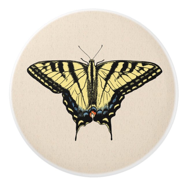 Southwestern Yellow Swallowtail Butterfly   Ceramic Knob (Front)