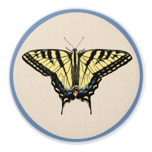Southwestern Yellow Swallowtail Butterfly  Ceramic Knob