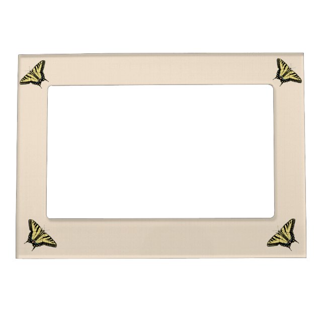 Southwestern Yellow Swallowtail Butterfly   Magnetic Frame (Front)