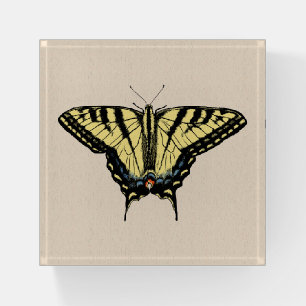 Southwestern Yellow Swallowtail Butterfly Paperweight