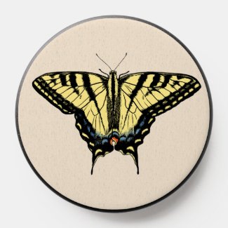 Southwestern Yellow Swallowtail Butterfly