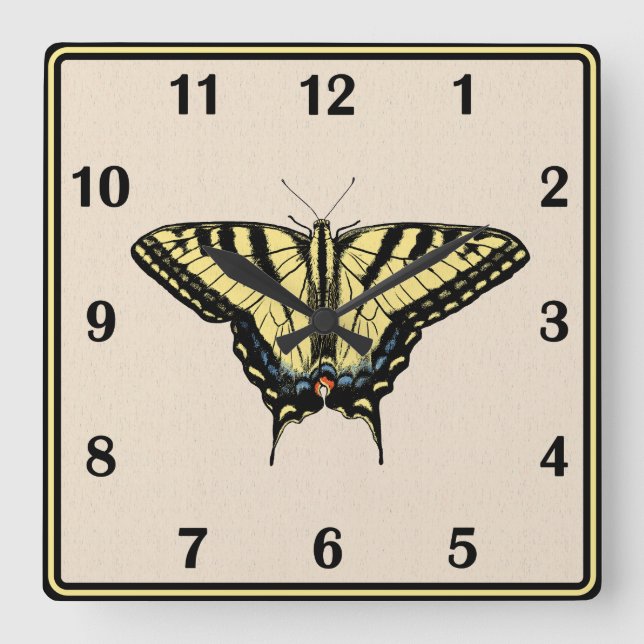 Southwestern Yellow Swallowtail Butterfly  Square Wall Clock (Front)