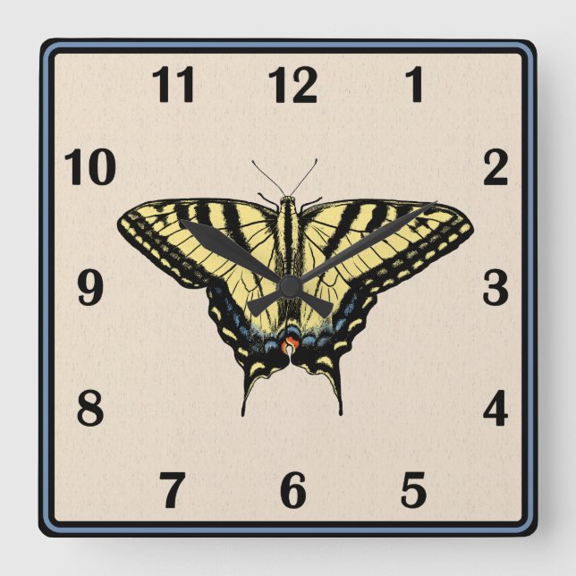 Southwestern Yellow Swallowtail Butterfly Square Wall Clock (Front)
