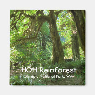 Souvenir Magnet—Hoh Rainforest, Olympic NP Magnet