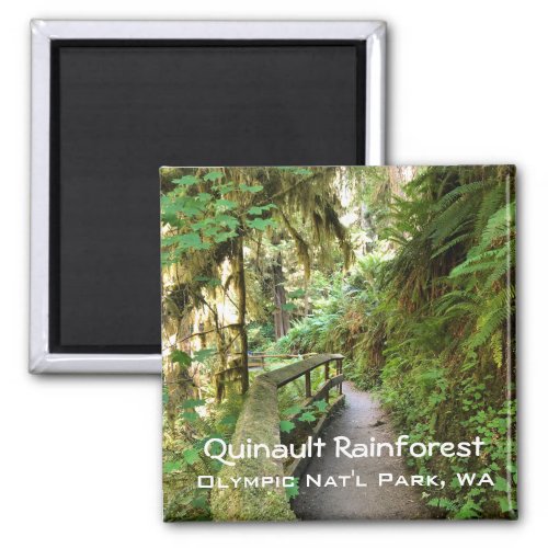 Souvenir MagnetQuinault Rainforest Olympic NP Magnet