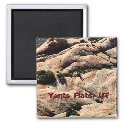 Souvenir Magnet Yants Flats St George UT Magnet