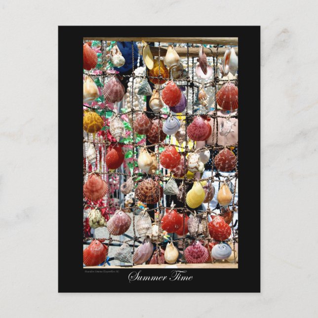 souvenir sea shells at Paphos Cyprus Postcard (Front)