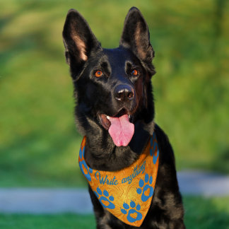 Sovereign_Apex_Dog_Orange_Damask_Bandana Pet Bandana Collar