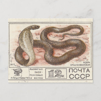 Soviet postage stamp central asian cobra postcard