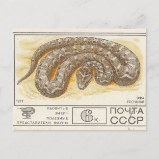 Soviet postage stamp Fhole sand Postcard