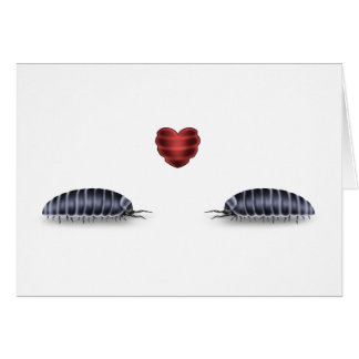 Sow Bug Luv (Lets Roll Togeather)