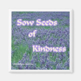 Sow Kindness Magnet