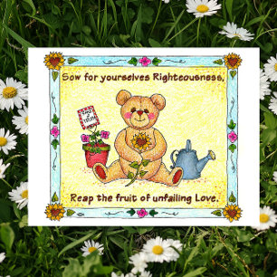 Sow Righteousness Christian Inspirational Postcard