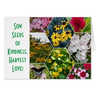 SOW SEEDS WITH KINDNESS GREETING CARD