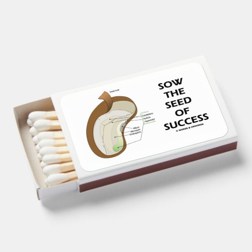 Sow The Seed Of Success Dicotyledon Bean Seed Matchboxes